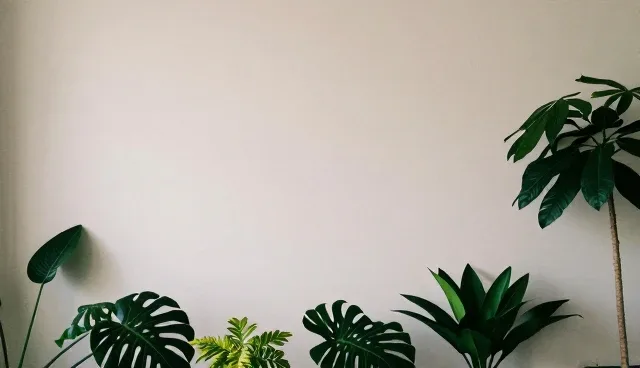 系统优化中的性能优化误区与正确理解